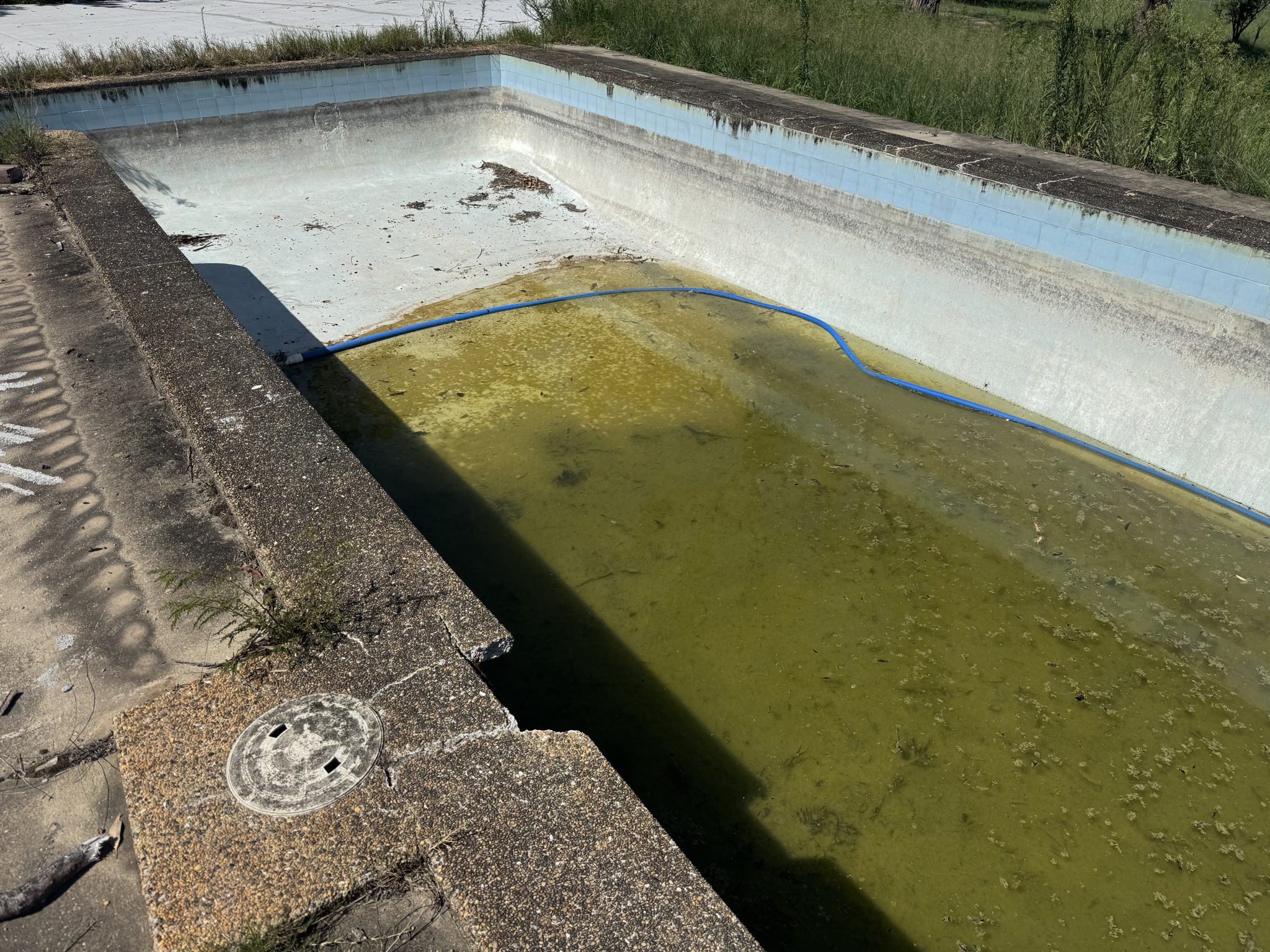 Large neglected pool with stagnant green water before renovation